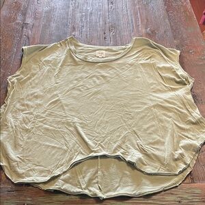 Fantastic Fawn Light Olive Short Sleeve Top